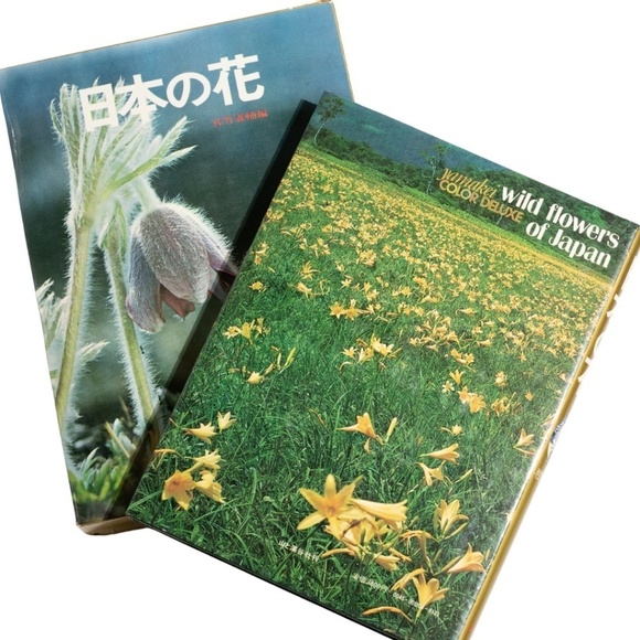 Wildflowers of Japan (Japanese Edition) with Slipcover by Yamakei Color Deluxe c - Picture 2 of 10